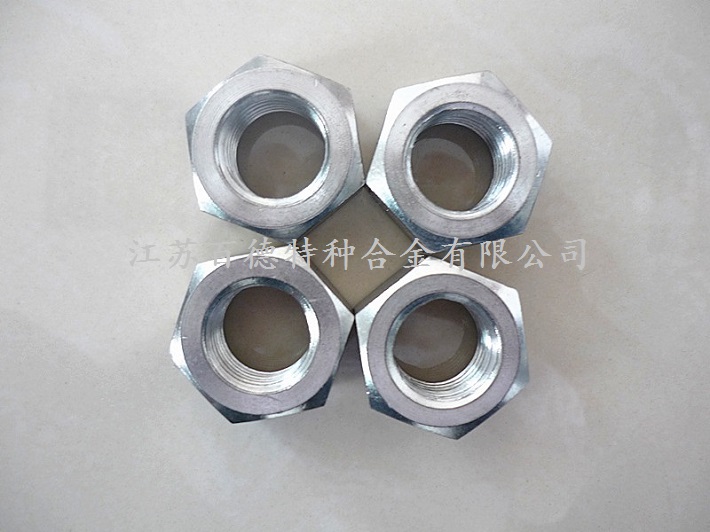  英科耐爾InconelX-750螺母